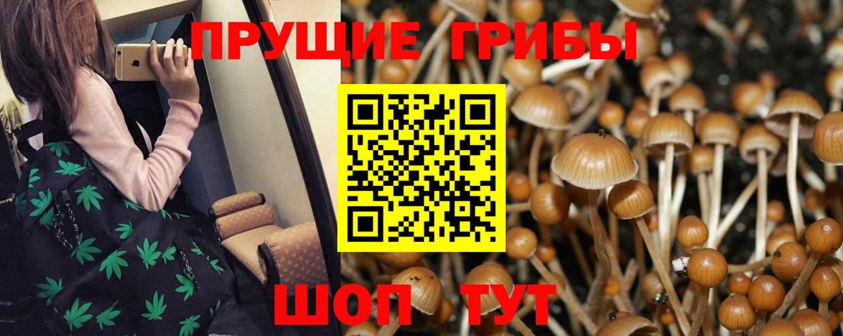 Псилоцибиновые грибы Magic Shrooms Рославль